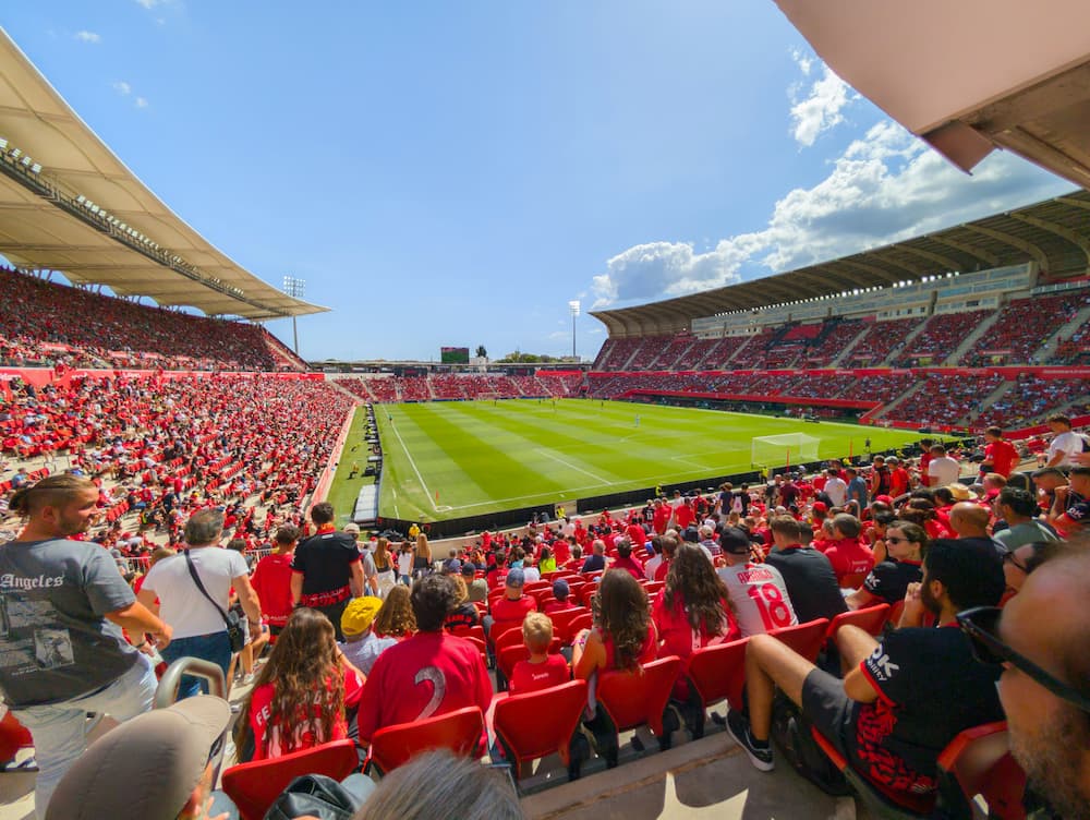 Why Certain Players Excel in International-Level Betting